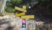 Randonnée Raquettes à neige Hauteluce - Col des Saisies - Croix de la Coste - Signal de Bisanne - Photo 4