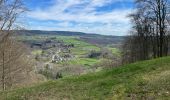 Trail Walking Rendeux - Cheoux Hodister - Photo 3