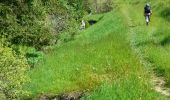 Trail Walking Lus-la-Croix-Haute - Col de Chante depuis Amayeres - Photo 5