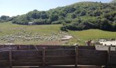 Trail Walking Orcines - Tour Puy de Dome - Photo 2