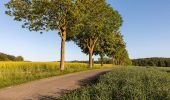 Tour Zu Fuß Nottuln - Longinusturm Rundweg A4 - Photo 4