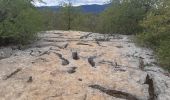 Excursión Senderismo Berrias-et-Casteljau - bois de Paîolive - Photo 2