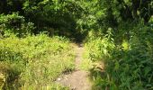 Trail Walking Oncy-sur-École - Oncy-sur-École - Grotte aux Fées  - Photo 1