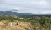 Tour Wandern Sisteron - Sisteron  - Photo 4