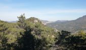 Excursión Senderismo Saint-Léger-du-Ventoux - saint léger du ventoux  - Photo 10