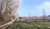 Randonnée Marche Looz - Promenade vers l'Aeneas Wilder  - Photo 14