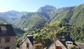 Tour Wandern Aydius - Chemin des buis de Camloung-Segnate - Photo 1