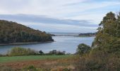 Tour Wandern Plouguiel - pont de l Enfer - Roche Jaune - Photo 1