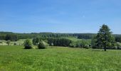 Tocht Stappen La Roche-en-Ardenne - rando samrée 30-05-2023 - Photo 1