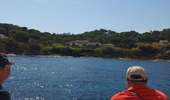 Trail Motorboat Saint-Tropez - Nalade St Tropez bateau - Photo 20