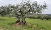 Tour Wandern Les Mées - LES MEES .Chapelle St Pierre , la Bressanne , la Bessonne o l s - Photo 7