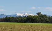 Tocht Stappen Riez - GR4 Jour 2 Riez - Saint Martin de Brôme 18-05-2021 - Photo 1