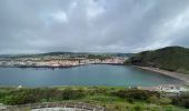 Randonnée Marche Horta (Angústias) - Horta, Faial: Monte Queimado et Monte da Guia (PRC 08 FAI) - Photo 8