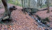 Trail Walking Chaudfontaine - gare - château des thermes /aller via les monts retour via la vesdre  - Photo 11
