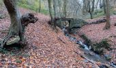 Tocht Stappen Chaudfontaine - gare - château des thermes /aller via les monts retour via la vesdre  - Photo 11