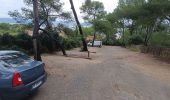 Trail Nordic walking Hyères - rando Giens  - Photo 1