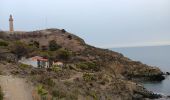 Tocht Stappen Port-Vendres - anse des paulilles - cap bear / retour par les vignes - Photo 13