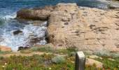 Trail Walking Calvi - Revellata  - Photo 11
