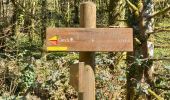 Trail Walking Cerdon - Le cerdon parr le drapeau  - Photo 6