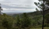 Trail Walking Saint-Rémy-de-Provence - De St Rémy aux Baux de Provence - Photo 3