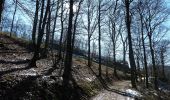 Trail On foot La Roche-en-Ardenne - 2.Champs Thomas - Photo 5