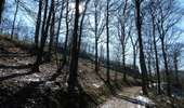 Trail On foot La Roche-en-Ardenne - 6.A l'Ewe - Photo 10