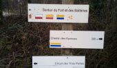 Randonnée Marche Gennes - GENNES batteries des EPESSES - Photo 3