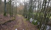 Randonnée Marche Sivry-Rance - Rance-Renlies sud - Photo 15