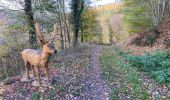 Trail Walking Clervaux - Clervaux Abbaye et Mecher 10 km boucle - Photo 9