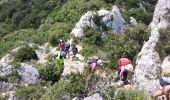 Tour Wandern Saint-Rémy-de-Provence - St Rémy de Provence  - Photo 3
