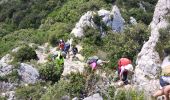 Trail Walking Saint-Rémy-de-Provence - St Rémy de Provence  - Photo 3