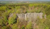 Tour Zu Fuß Poppenhausen - Maulkuppe - Rhönrundweg 14 - Photo 4