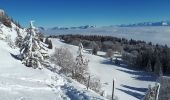 Randonnée Raquettes à neige Lans-en-Vercors - Circuit les Aigaux / Charande - Photo 6