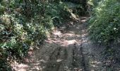 Tour Mountainbike Les Sables-d'Olonne - Circuit du chemin de ronde - Photo 1