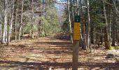 Tour Wandern Saint-Julien-en-Vercors - Pas des Voutes-Pas de l'Allier depuis St Julien en Vercors - Photo 1