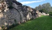 Tour Wandern Lyon - Vieux Lyon-Mornant 09 et 10 2021 - Photo 14