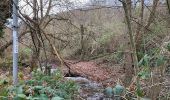 Tour Zu Fuß Nideggen - Stauseerundweg Obermaubach - Photo 2