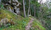 Trail Walking Authon - Sommet des Monges - Photo 3