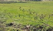 Tour Wandern Sainte-Ode - sentiers artistique d'Orti (Amberloup) - Photo 16