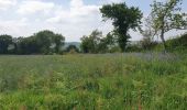 Randonnée Marche Plougras - Autour de Plougras, abord de Guerlesquin - Photo 9