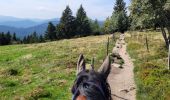 Trail Horseback riding Soultzeren - WE Soultzeren route J2 - Photo 1