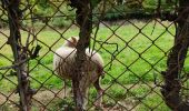 Trail Walking Palaiseau - Le tour de Villebon - Photo 6