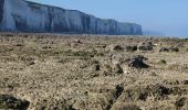 Randonnée Marche Ault - Normandie 2022 : Ault - Mers les bains - Photo 4