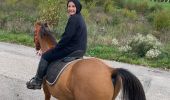 Tour Reiten Blankenberg - Sortie Blamont avec Élodie  - Photo 1