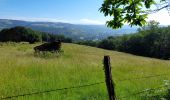 Trail Walking Saint-Côme-d'Olt - live Saint Côme - Estaing - Photo 4