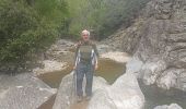 Trail Walking Saint-Gervais-sur-Mare - boucle COURS LES BANISSOUS - Photo 4