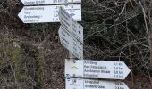 Trail On foot Bad Peterstal-Griesbach - Peterstaler Schwarzwaldsteig - Photo 6