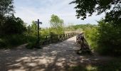 Tour Zu Fuß Unbekannt - Naturlehrpfad obere Lobau (Saltenstraße Rundweg) - Photo 7