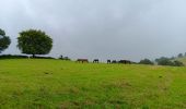 Trail Walking Herve - bolland . favechamps . la vaux . melen . bolland  - Photo 8