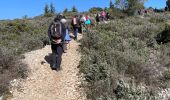 Tour Wandern Mérindol - PF-Mérindol - Dessus de Mérindol par les Chemins de l'Apied et des Bouigues - Vallon des Porcs - CP - Photo 6